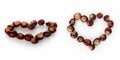 the heart is lined with chestnut trees. photo chestnuts close-up on a white background Royalty Free Stock Photo