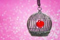 Heart locked inside a bird cage