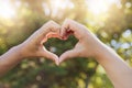 Heart, love and hands sign at a park, nature and trees bokeh sunshine for earth day, outdoor wellness and healthcare Royalty Free Stock Photo