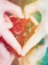 Heart of love from rose petals with heart-shaped top view of gre Royalty Free Stock Photo