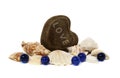 Heart love seashells blue stones Royalty Free Stock Photo