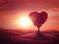 Heart love tree Royalty Free Stock Photo