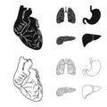 Heart, lungs, stomach, pancreas. Human organs set collection icons in black,outline style vector symbol stock Royalty Free Stock Photo