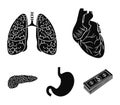 Heart, lungs, stomach, pancreas. Human organs set collection icons in black style vector symbol stock illustration web. Royalty Free Stock Photo