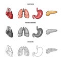 Heart, lungs, stomach, pancreas. Human organs set collection icons in cartoon,outline,monochrome style vector symbol Royalty Free Stock Photo