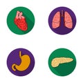 Heart, lungs, stomach, pancreas. Human organs set collection icons in flat style vector symbol stock illustration web. Royalty Free Stock Photo