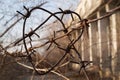 Heart made of barbed wire on a building background.