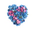 Heart made with beautiful Forget-me-not flowers isolated on white Royalty Free Stock Photo