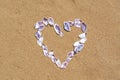 Heart made with beautiful sea shells on wet sand, flat lay Royalty Free Stock Photo