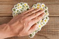 Heart made of daisies flowers in wooden background Royalty Free Stock Photo