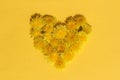 A heart made of dandelion flowers is laid out on a yellow background. Royalty Free Stock Photo