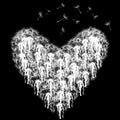 Heart made of dandelions with seed flying on black background Royalty Free Stock Photo