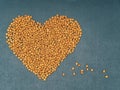 Heart made of dry pet food on a dark background. The concept of love and care for pets