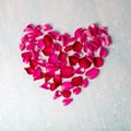 Red rose and Heart of fresh rose petals. Love concept Royalty Free Stock Photo