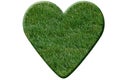 Heart made of green grass Royalty Free Stock Photo