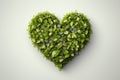 Heart made of green leaves Isolated on white background. Royalty Free Stock Photo