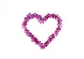 Heart made of lilac flowers isolated on a white background. Top view, copy space. Royalty Free Stock Photo