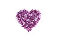 Heart made of lilac flowers isolated on a white background. Top view, copy space. Royalty Free Stock Photo