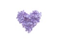 Heart made of lilac flowers isolated on a white background. Top view, copy space. Royalty Free Stock Photo