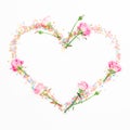 Heart made of pink flowers and candy confetti on white background. Flat lay, Top view. Valentine`s day composition Royalty Free Stock Photo