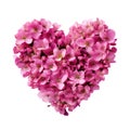 Heart Made of Pink Flowers on White Background. Generative AI Royalty Free Stock Photo