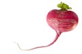Heart made of radish Royalty Free Stock Photo