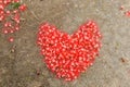 Heart made from red flower on the ground. Royalty Free Stock Photo