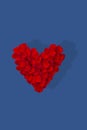 Heart made from red rose petals isolated on blue background . Top view, flat lay Royalty Free Stock Photo