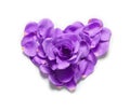 Heart made of rose petals. Blue rose petals heart over white background. Love and romantic theme. Royalty Free Stock Photo