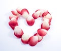 Heart made of rose petals Royalty Free Stock Photo