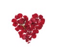 Heart made from roses petals on white background top view. Flat lay. Royalty Free Stock Photo