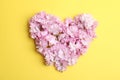Heart made with sakura blossom on background, top view. Japanese cherry