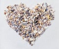 Heart made from sea shells Royalty Free Stock Photo