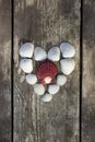 Heart made of sea shells Royalty Free Stock Photo