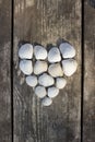 Heart made of sea shells Royalty Free Stock Photo