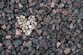 Heart made of small white rounded stones set on background of the gray, pink, and brown granite stones of the railway embankment