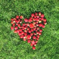 Heart made of strawberries on a green lawn