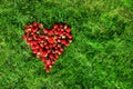 Heart made of strawberries on a green lawn
