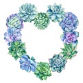 Heart made of succulents, watercolor illustration, flora design