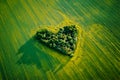 Heart made of trees in rapeseed field, aerial view