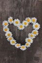 Heart made of white daisies on rustic wooden background. Top view of heart shape chamomile flowers Royalty Free Stock Photo