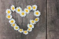 Heart made of white daisies on rustic wooden background. Top view of heart shape chamomile flowers