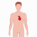 Heart on man body silhouette vector medical illustration isolated on white background. Human inner organ placed in bady