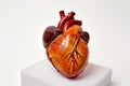 heart model with arteries highlighted on a white background
