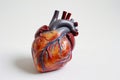 heart model with arteries highlighted on a white background