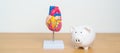 Heart model with Piggy Bank for Cardiovascular Diseases, Atherosclerosis, Hypertensive Heart, Valvular Heart, Aortopulmonary