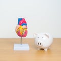 Heart model with Piggy Bank for Cardiovascular Diseases, Atherosclerosis, Hypertensive Heart, Valvular Heart, Aortopulmonary