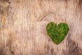 Heart of moss. Green heart on wooden background. Eco style. Eco gift. St. Valentine`s Day.