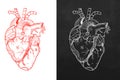 Heart, natural heart, sketch heart