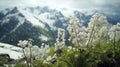 Blossom in the nature